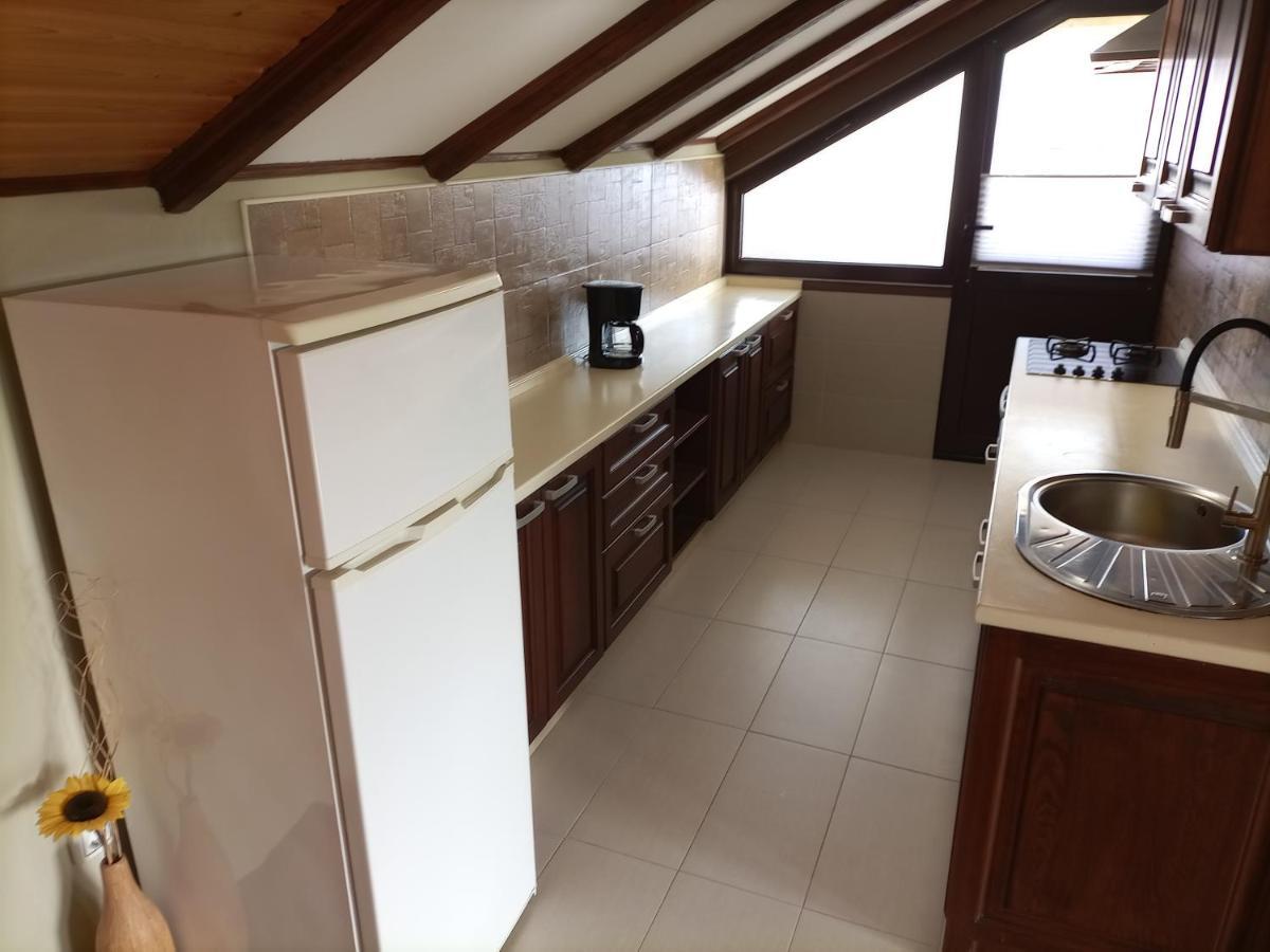 Apartments Ingrid Novigrad  ภายนอก รูปภาพ