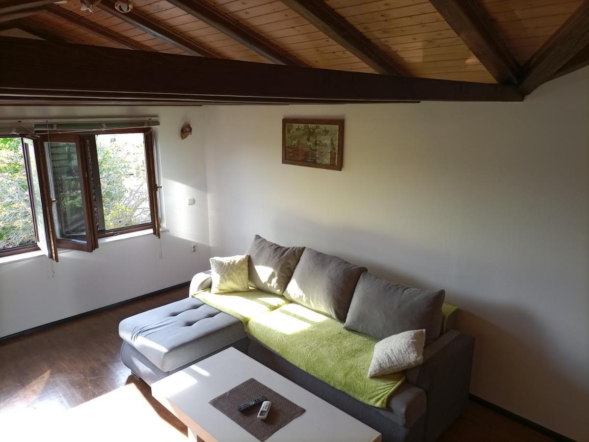 Apartments Ingrid Novigrad  ภายนอก รูปภาพ