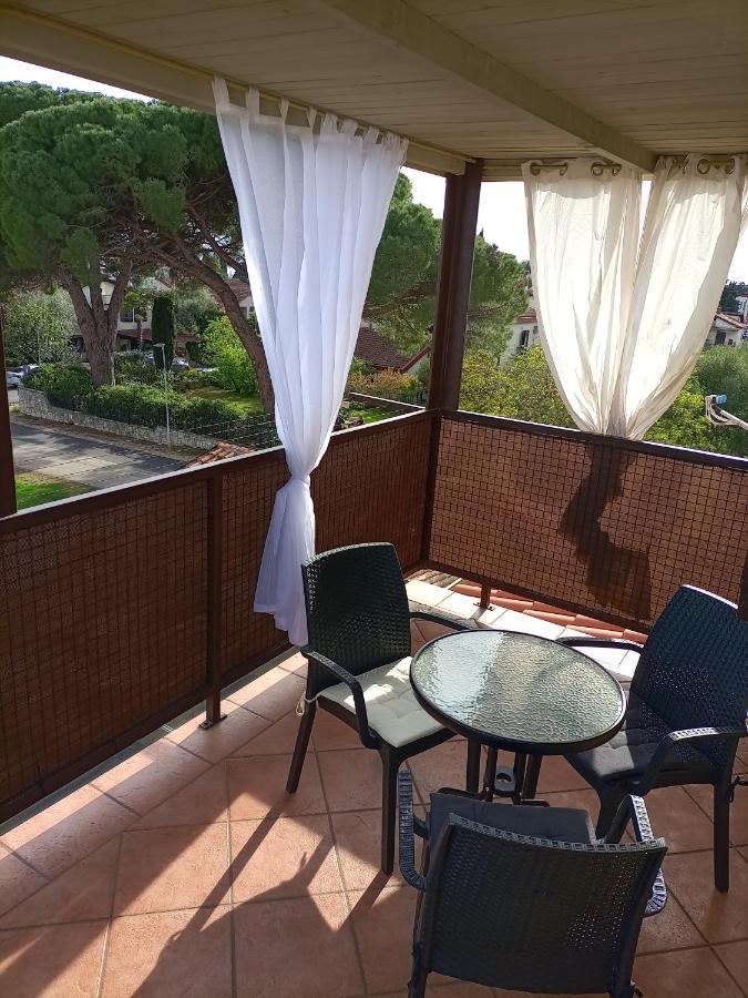 Apartments Ingrid Novigrad  ภายนอก รูปภาพ
