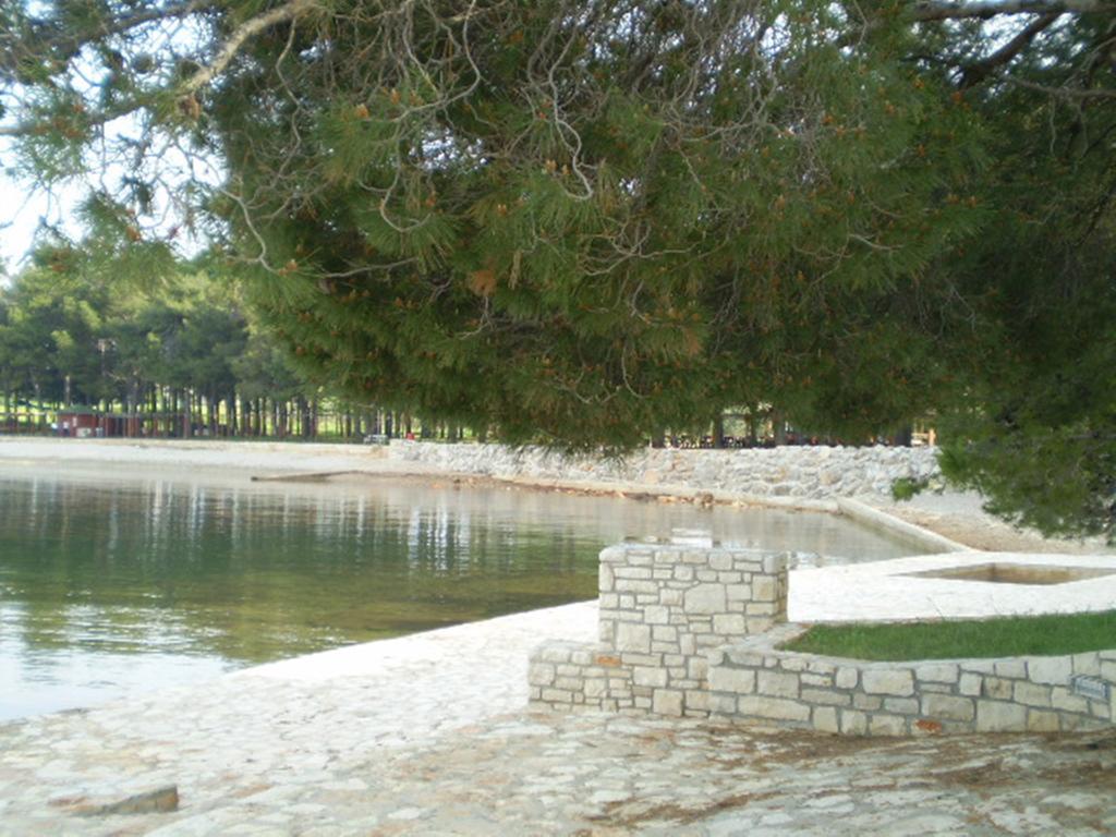 Apartments Ingrid Novigrad  ภายนอก รูปภาพ