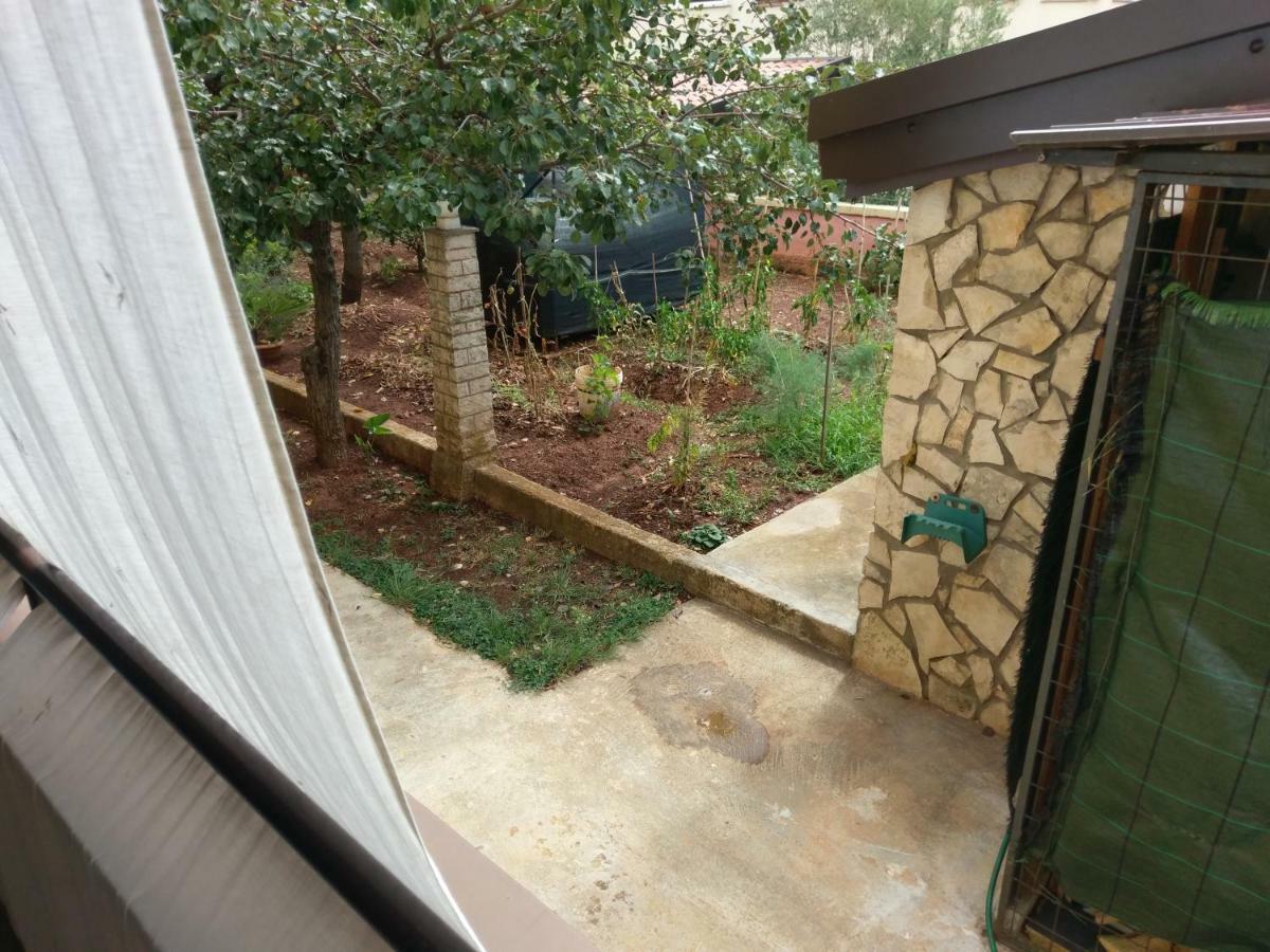 Apartments Ingrid Novigrad  ภายนอก รูปภาพ