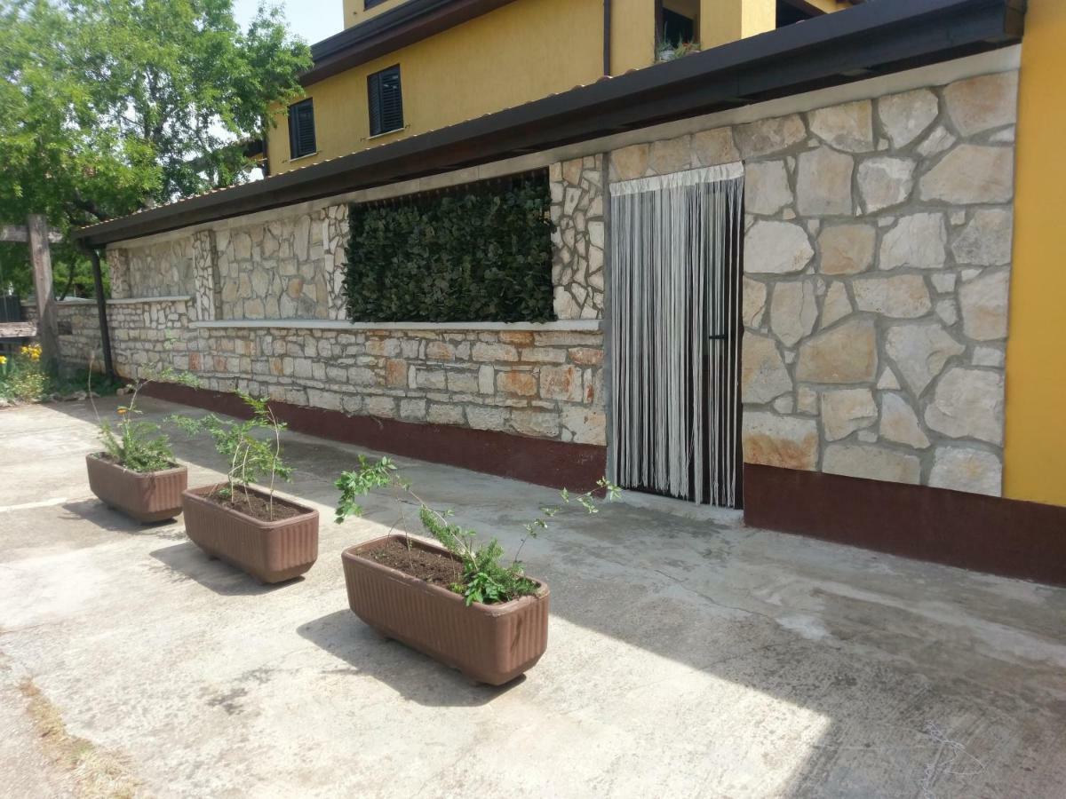 Apartments Ingrid Novigrad  ภายนอก รูปภาพ