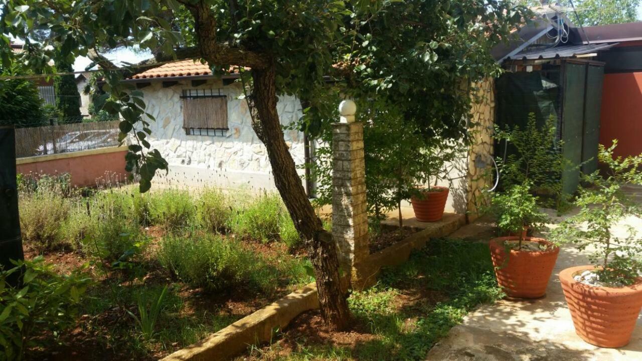 Apartments Ingrid Novigrad  ภายนอก รูปภาพ