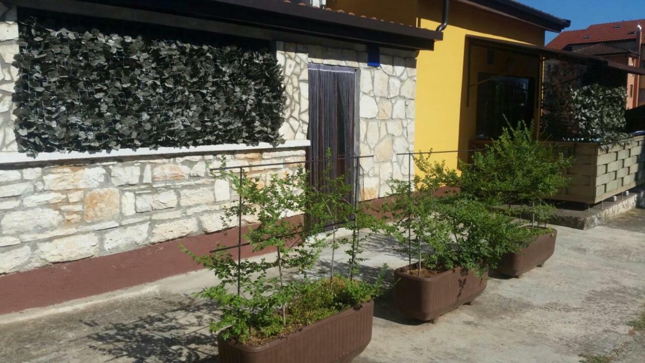 Apartments Ingrid Novigrad  ภายนอก รูปภาพ