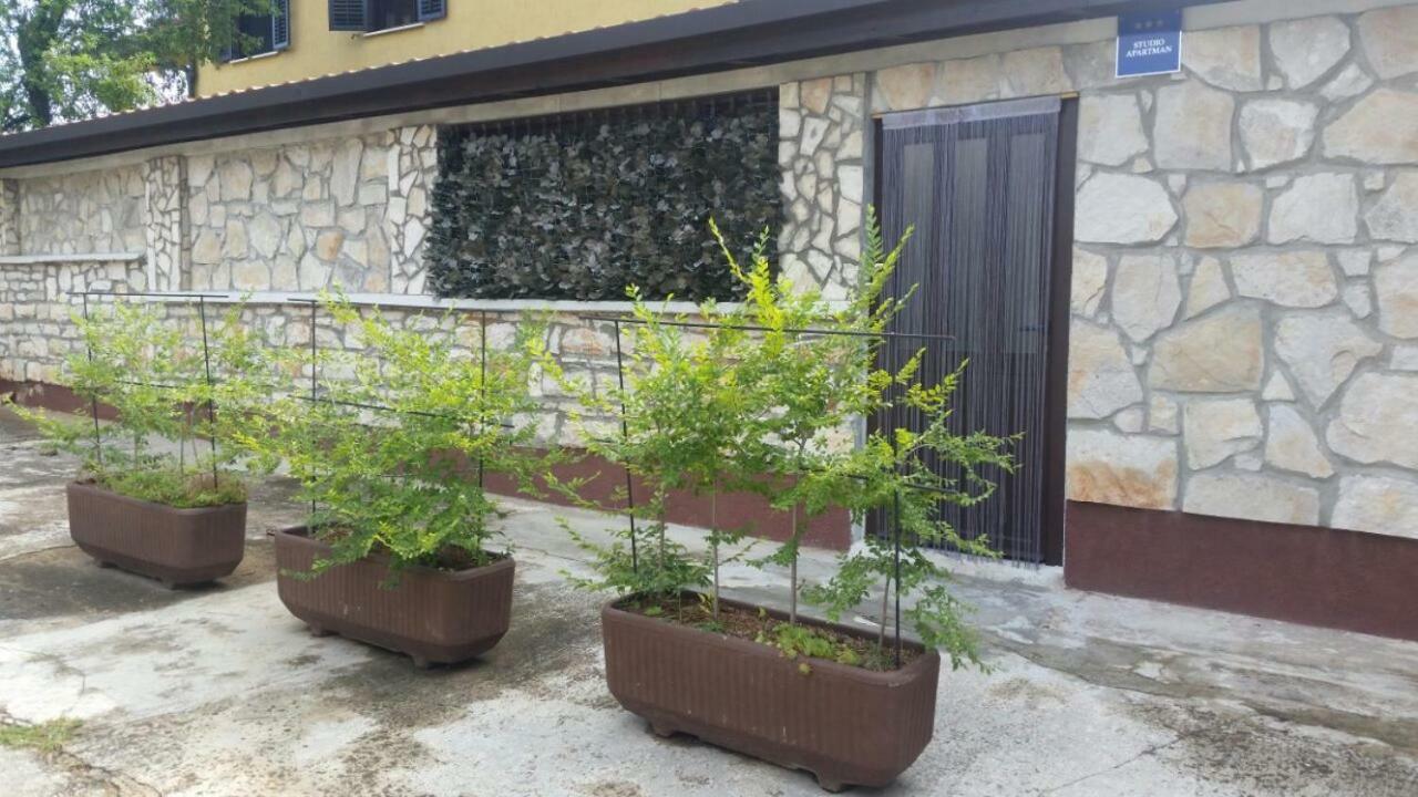 Apartments Ingrid Novigrad  ภายนอก รูปภาพ